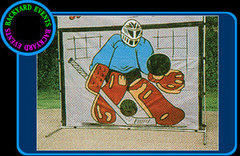 Slapshot Hockey $189.00 www.mechanicalbullwebdesign.com Slapshot Hockey $189.00 www.mechanicalbullwebdesign.com